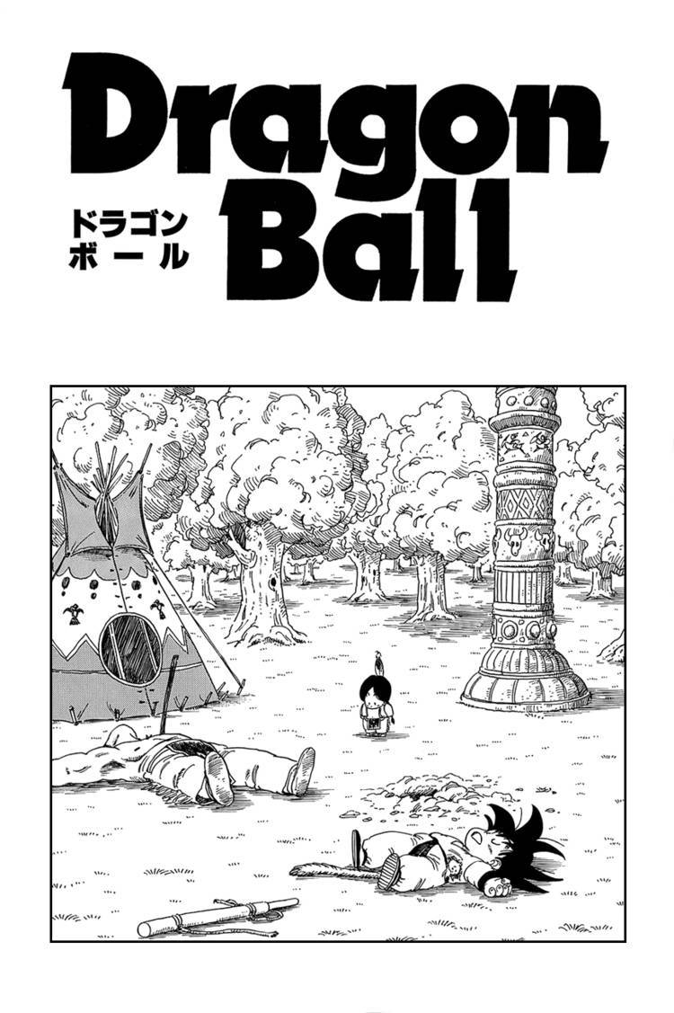 Dragon Ball Chapter 75.089 243